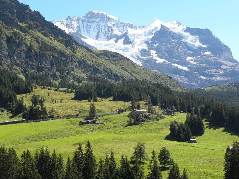 Apartment With Great View At Residence Brunner Wengen Exterior photo