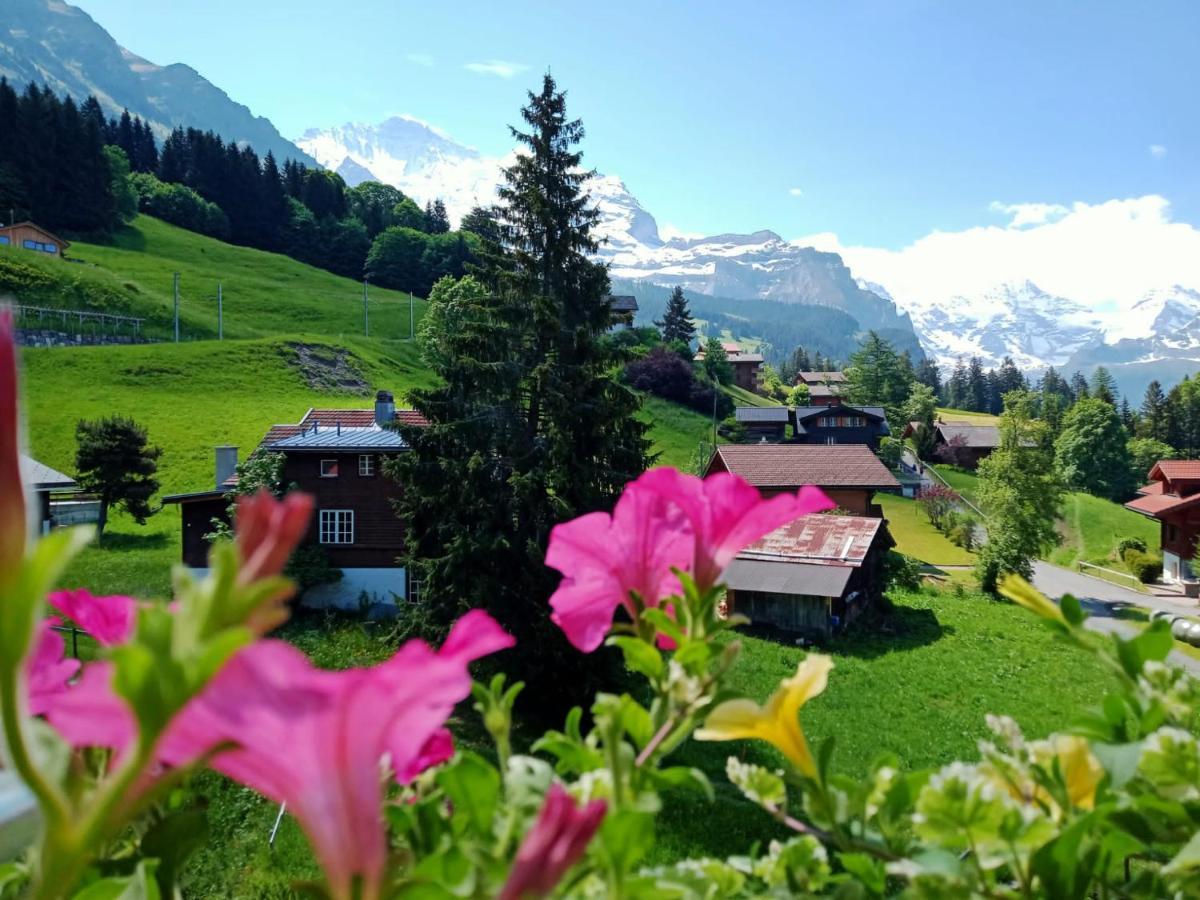 Apartment With Great View At Residence Brunner Wengen Exterior photo